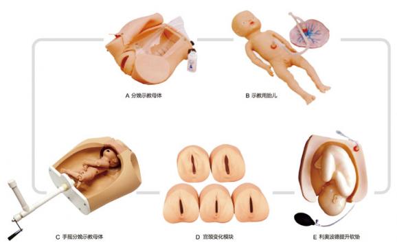 腹部觸診、分娩機轉綜合模型KAS/F54