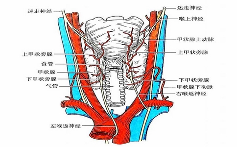 2025-02-12_術中喉返神經監測儀_3